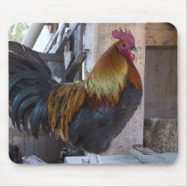 Regal Rooster mousepads