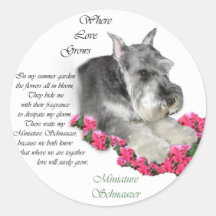 Regalos del arte del Schnauzer miniatura Etiquetas Redondas