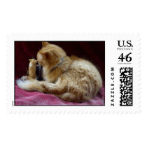 Regarding postage by koduckgirl Regarding postage