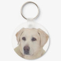 Reggie keychains