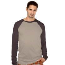 Regina Decor Carmeli, ora pro nobis! t-shirts