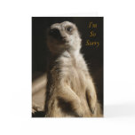 Regret - I'm SoSorry Apology or Sympathy Cute Card