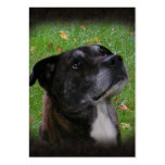 Regular Dog ~ ATC Business Card Templates