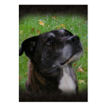 Regular Dog ~ ATC business cards by Andy2302 Regular Dog ~ ATC business cards