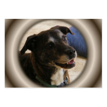 Regular Dog ~ ATC business cards by Andy2302 Regular Dog ~ ATC business cards
