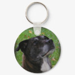 Regular Dog ~ keychain