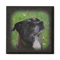 Regular Dog ~ mag magnets by Andy2302 Regular Dog ~ mag magnets