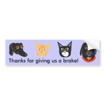 Reigning Cats & Dogs_Frisky Friends bumper stickers