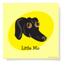 Reigning Cats & Dogs_Furry Faces_Little Mo posters