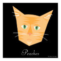 Reigning Cats & Dogs_Furry Faces_Peaches print