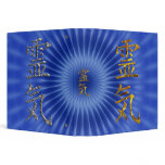 REIKI / GOLD 3 RING BINDERS
