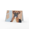 Reilly cards by megsodano Reilly cards