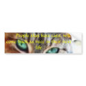 reincarnation...?? bumper stickers