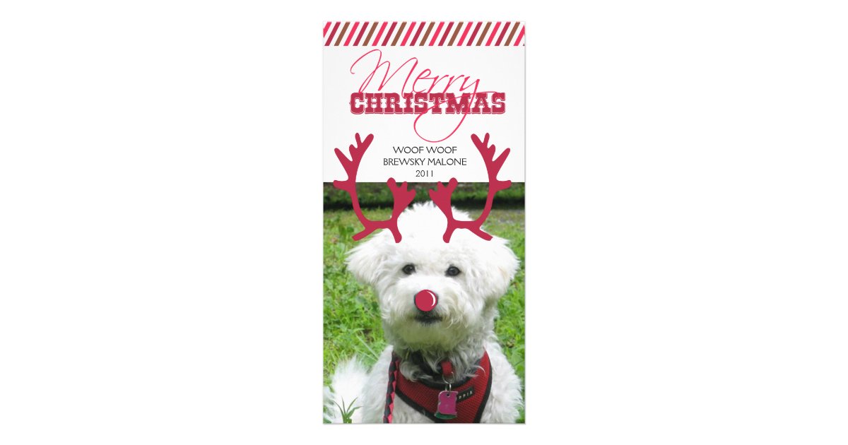 top 28 pet antlers christmas the world s best photos top 28 pet antlers christmas the world s best photos