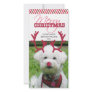 Reindeer Antler & Red Nose Pet Christmas! Photo Cards