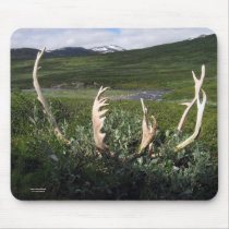 Reindeer Antlers mousepads