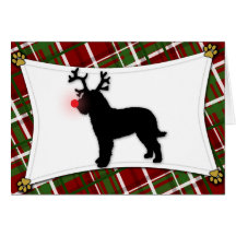 Reindeer Barbet Christmas Card