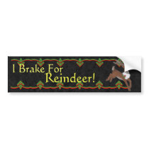 Reindeer Bumper Sticker