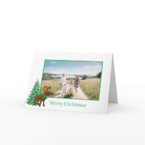 Reindeer - cards by samack Reindeer - cards