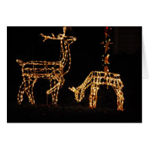 Reindeer Card - Holiday Greeting