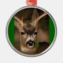 Reindeer Christmas Tree Ornaments