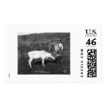 Reindeer & Eskimo Alaska 1920 postage