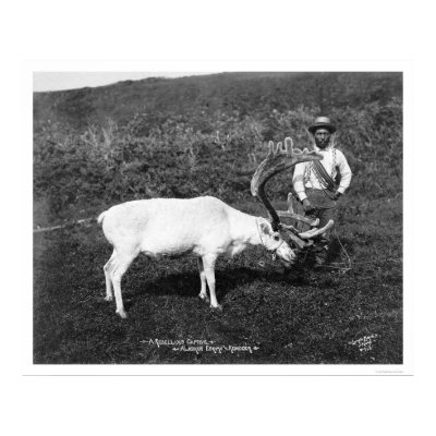 Reindeer & Eskimo Alaska 1920 Print by lc_alaska