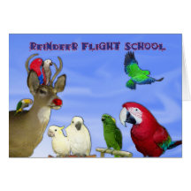 Reindeer Flight School Greeting Card