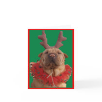 Reindeer Hanni Christmas Card by NoPetExtinctionLaws Reindeer Hanni Christmas Card