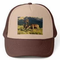 Reindeer Hat