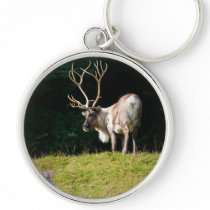 Reindeer Key Chain
