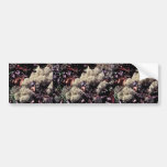 Reindeer Moss or Caribou Moss Lichen Bumper Sticker