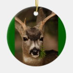 Reindeer Ornament
