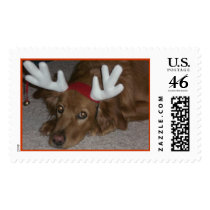 Reindeer postage