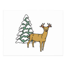 Reindeer Postcard