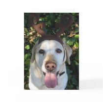 Reindeer Prima cards by mdgordon Reindeer Prima cards