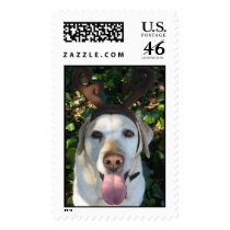 Reindeer Prima postage by mdgordon Reindeer Prima postage