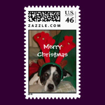 Reindeer Rio med. Postage postage by naturegirl7 Reindeer Rio med. Postage postage