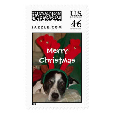 Reindeer Rio Postage stamp