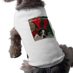 Reindeer Rio the Dog petshirt