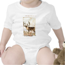 Reindeer t-shirts by AnimalAddict Reindeer t-shirts