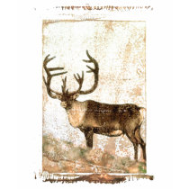 Reindeer t-shirts by AnimalAddict Reindeer t-shirts