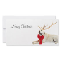 Reindeer yellow lab photo card template