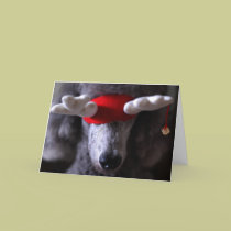 Reindoodle Holiday Card I
