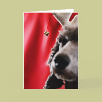 Reindoodle Holiday Card IV