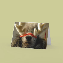 Reindoodle Holiday Card V