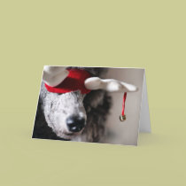Reindoodle Holiday Card VI