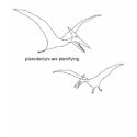 Rejected Ideas: Pterodactyl t-shirts by WeAreTheInternet Rejected Ideas: Pterodactyl t-shirts