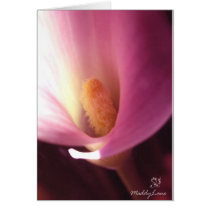 Rejoice, by Maddylane Designs cards
