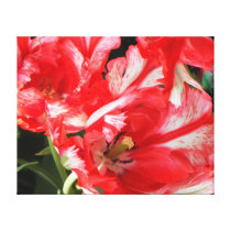 Rejoice! Stretched Canvas Prints